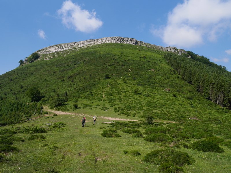 Ipar-ekialdetik ikusita