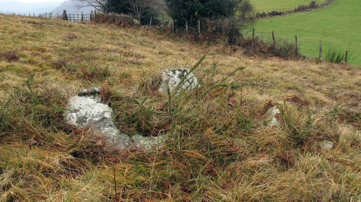 Dondenia 1 trikuharria, Arrosa