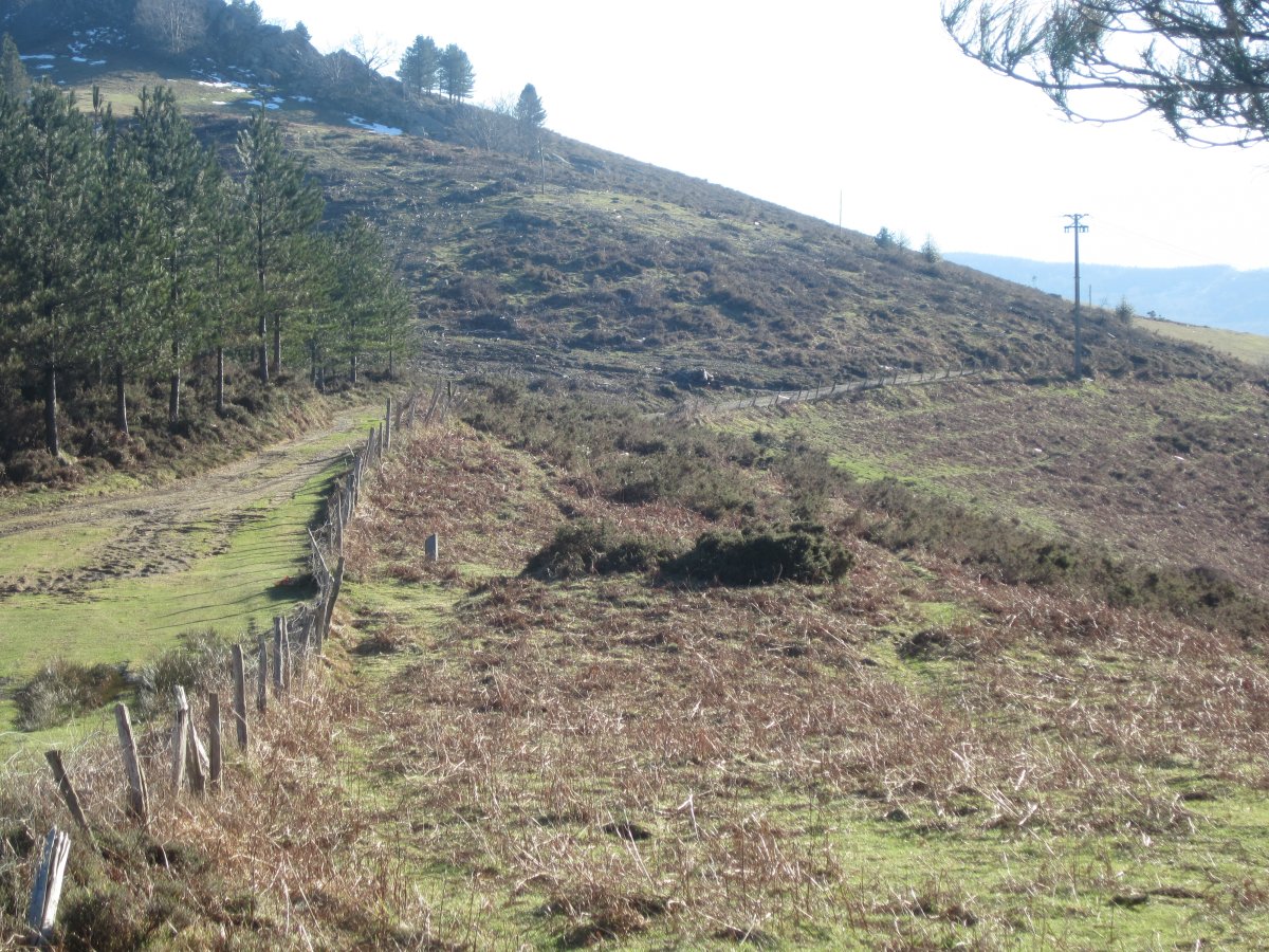 Túmulo Beibatari  (Febrero 2015)