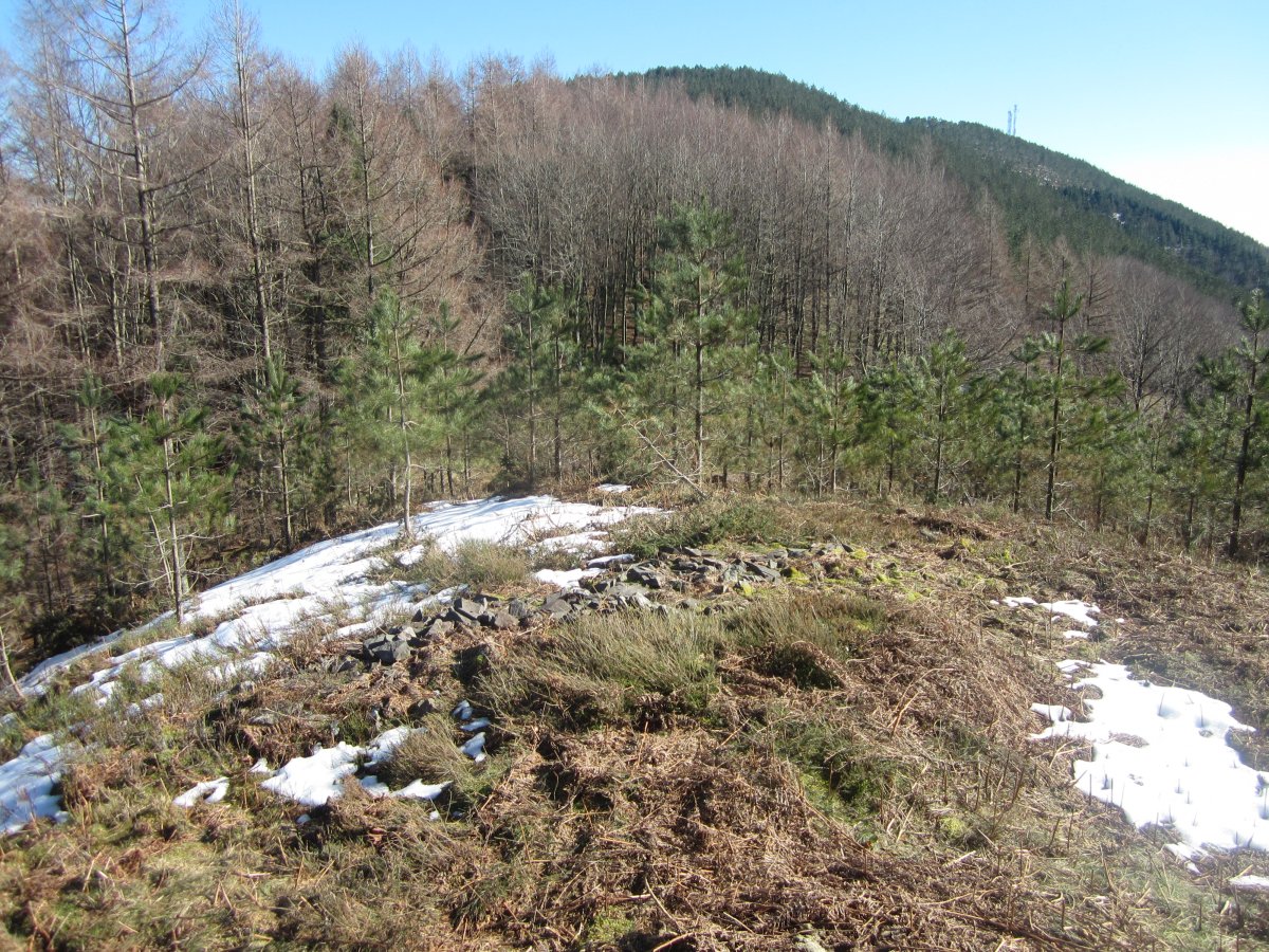 Túmulo Moa (Febrero 2015)