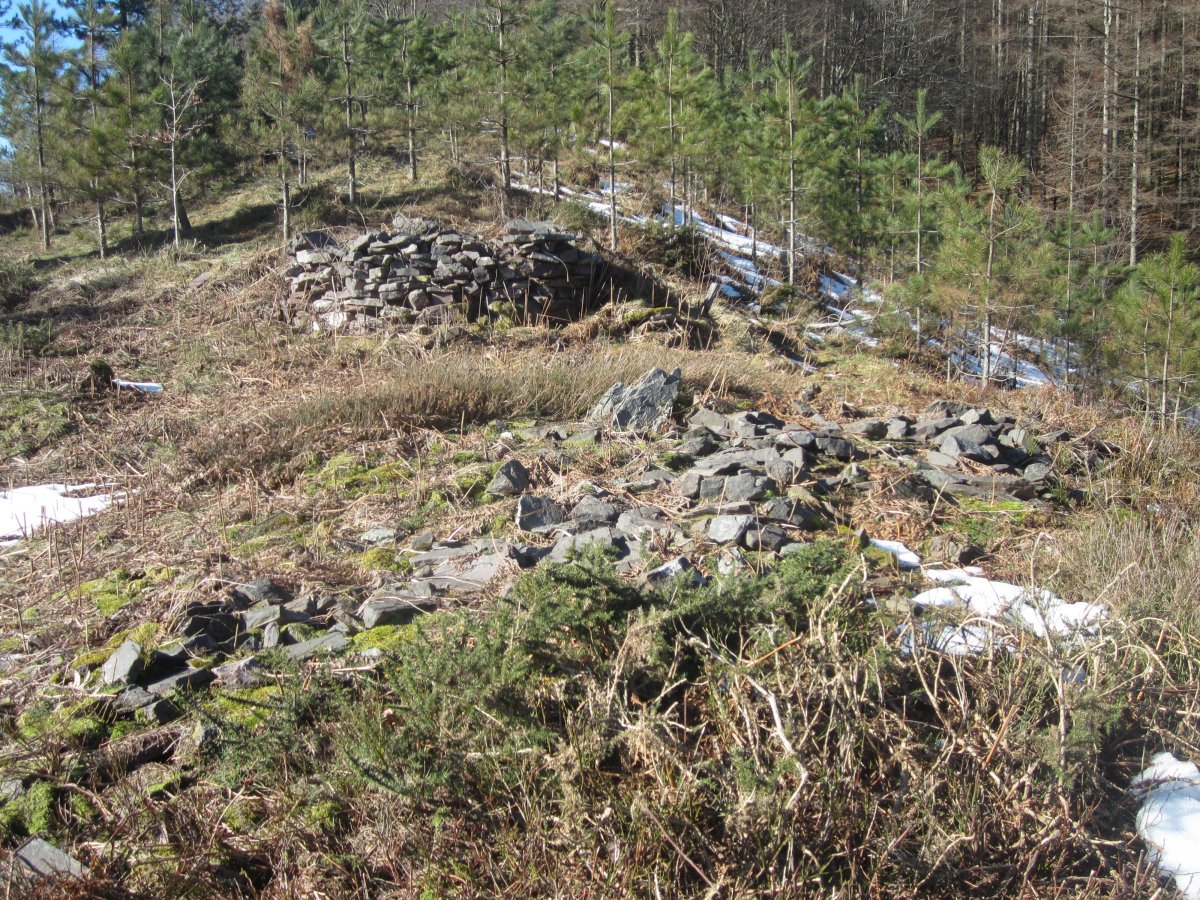 Túmulo Moa   (Febrero  2015)