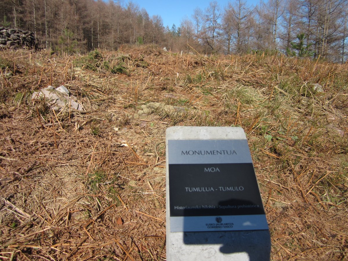 Túmulo Moa (Febrero 2015)