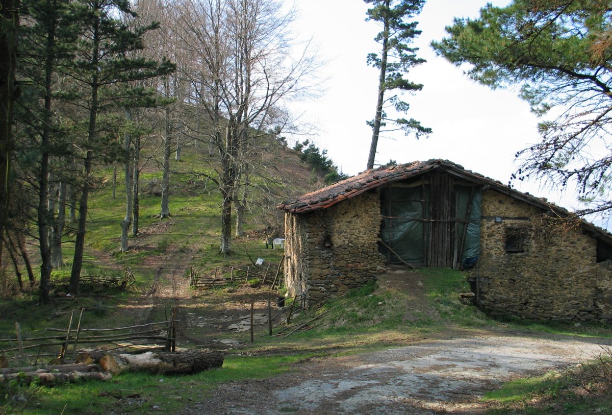 Endriokorta baserria lepoan