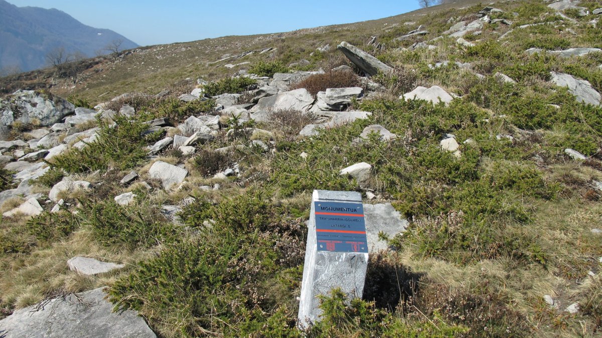 Latargi 5 trikuharria, Eratsun