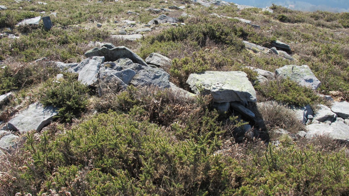 Latargi 16 trikuharria, Eratsun