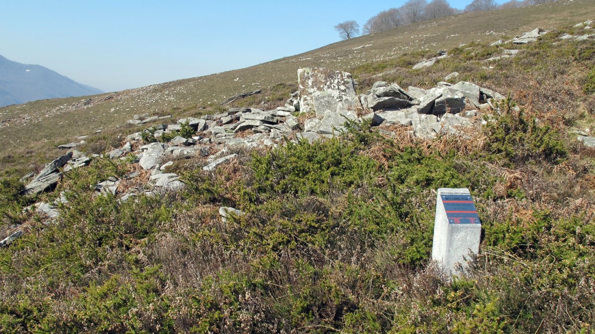 Latargi 6 trikuharria, Eratsun