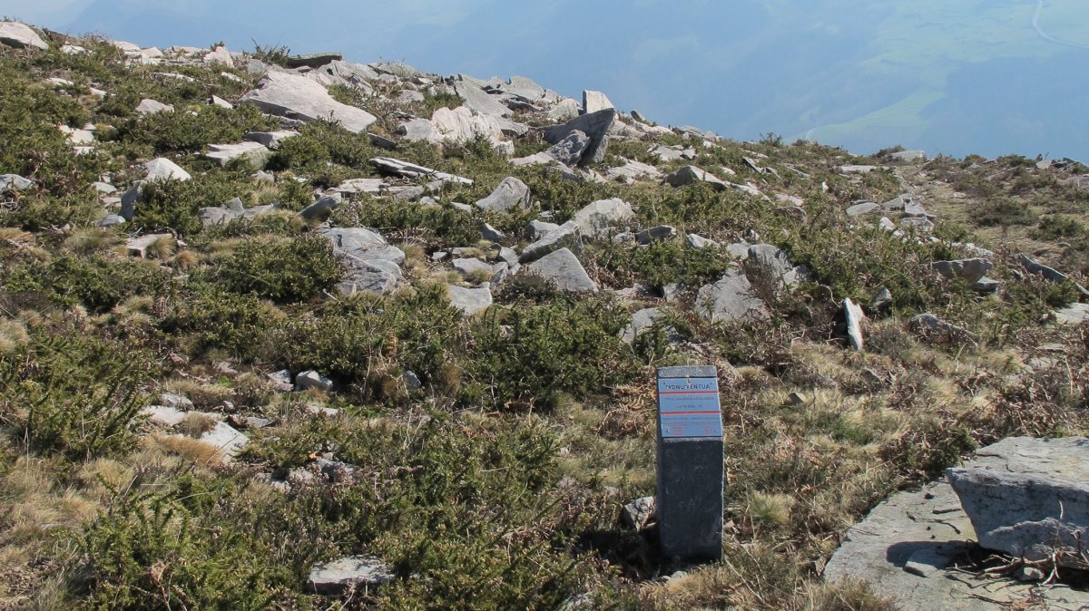 Latargi 17 trikuharria, Eratsun