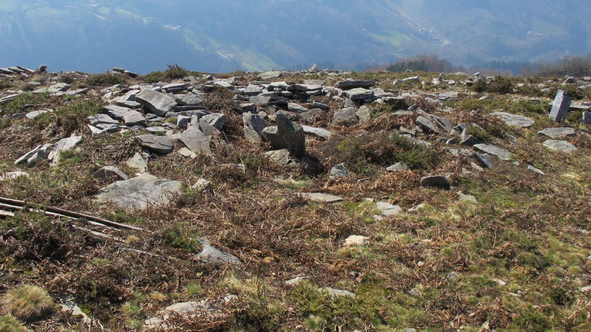 Latargi 9 trikuharria, Eratsun