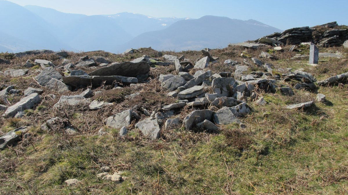 Latargi 10 trikuharria, Eratsun