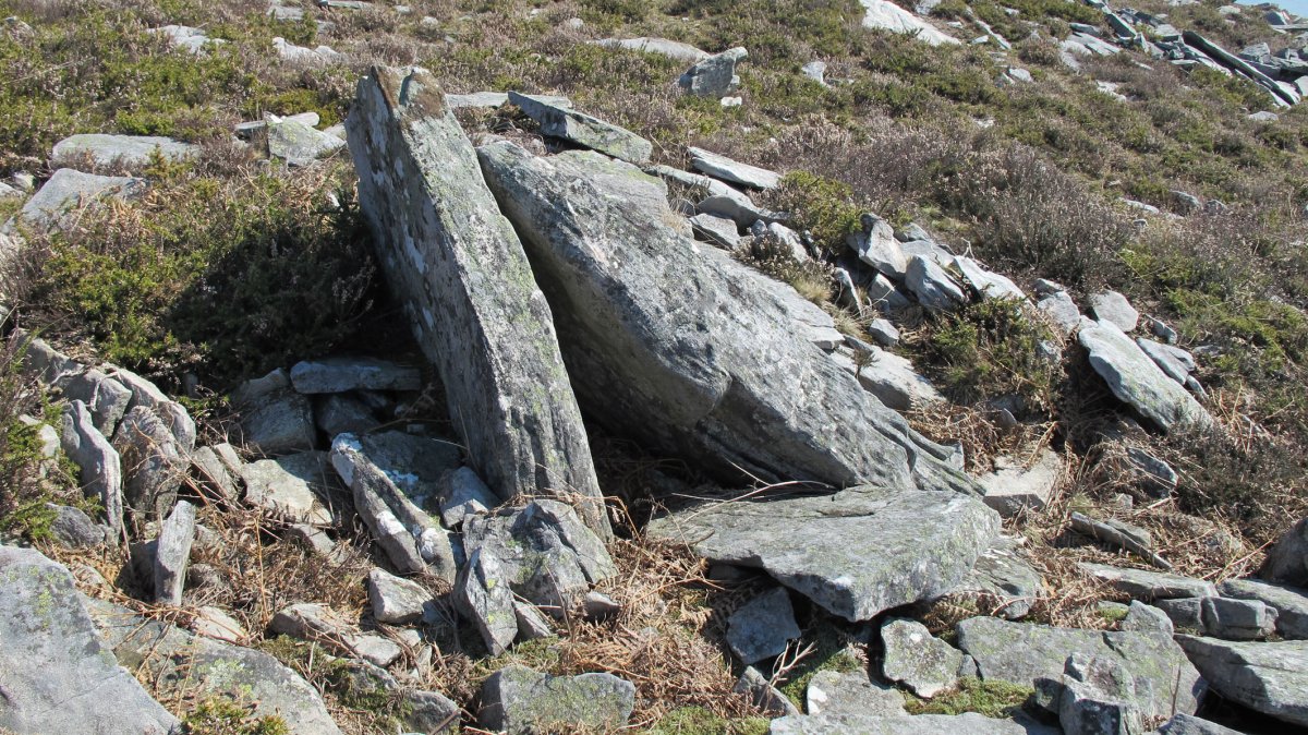 Latargi 15 trikuharria, Eratsun