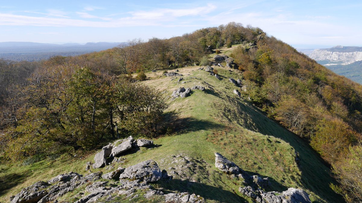 Urdiain aldeko ertza