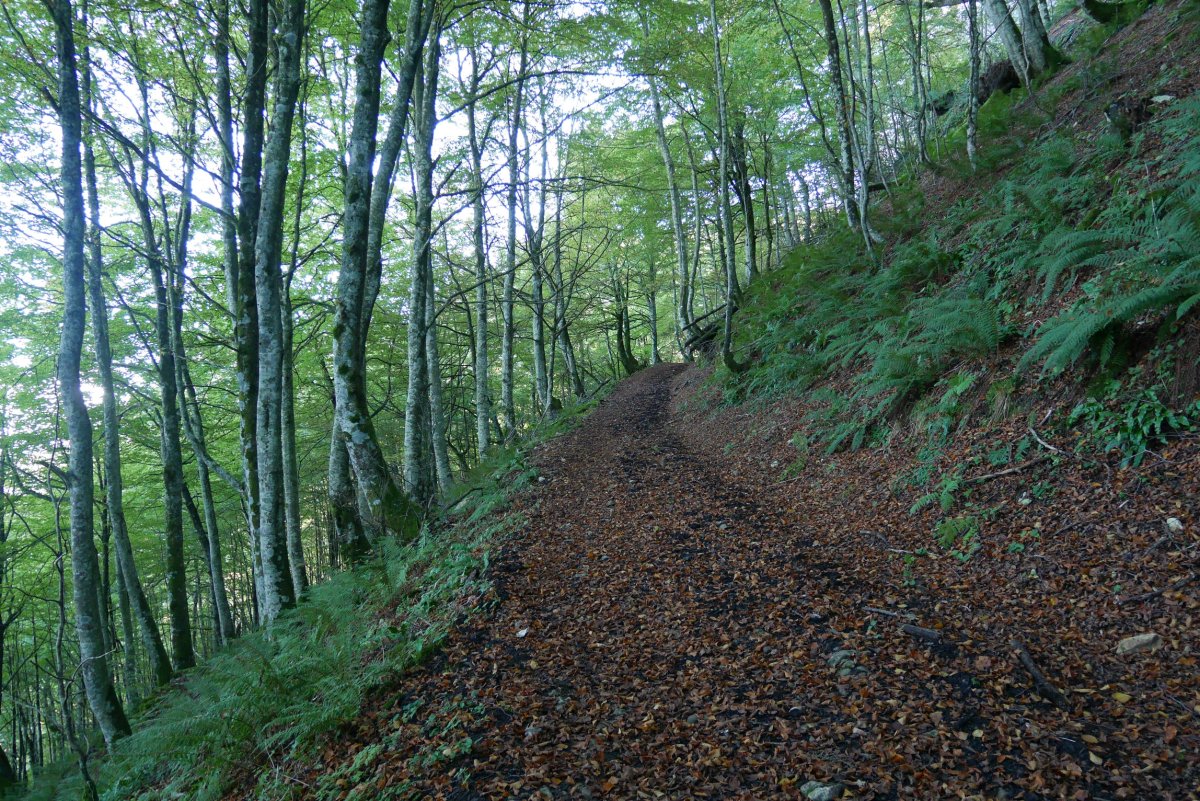 Urdiaingo portuko igoera