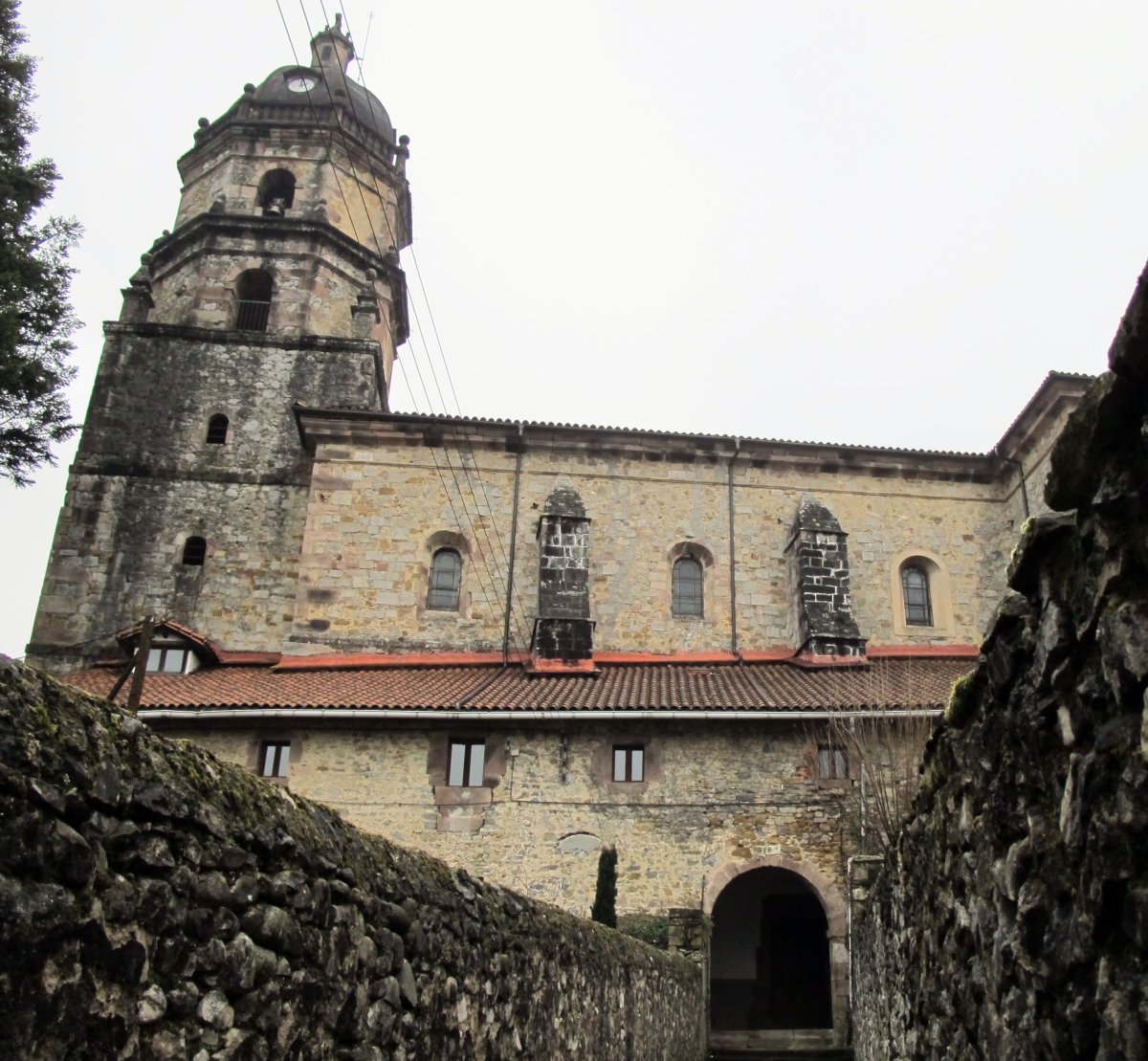 Salbatore eliza, Irurita