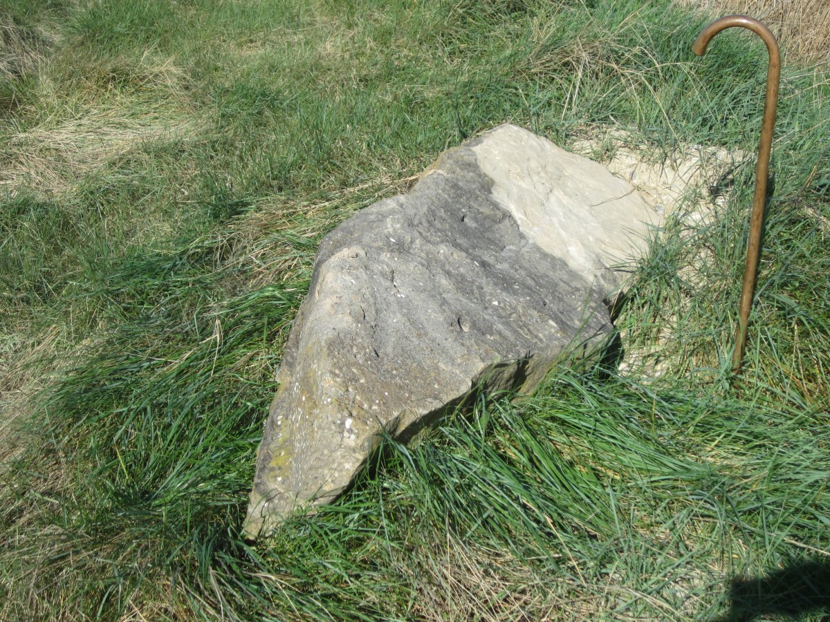 Menhir Biorrada  (Marzo 2015)