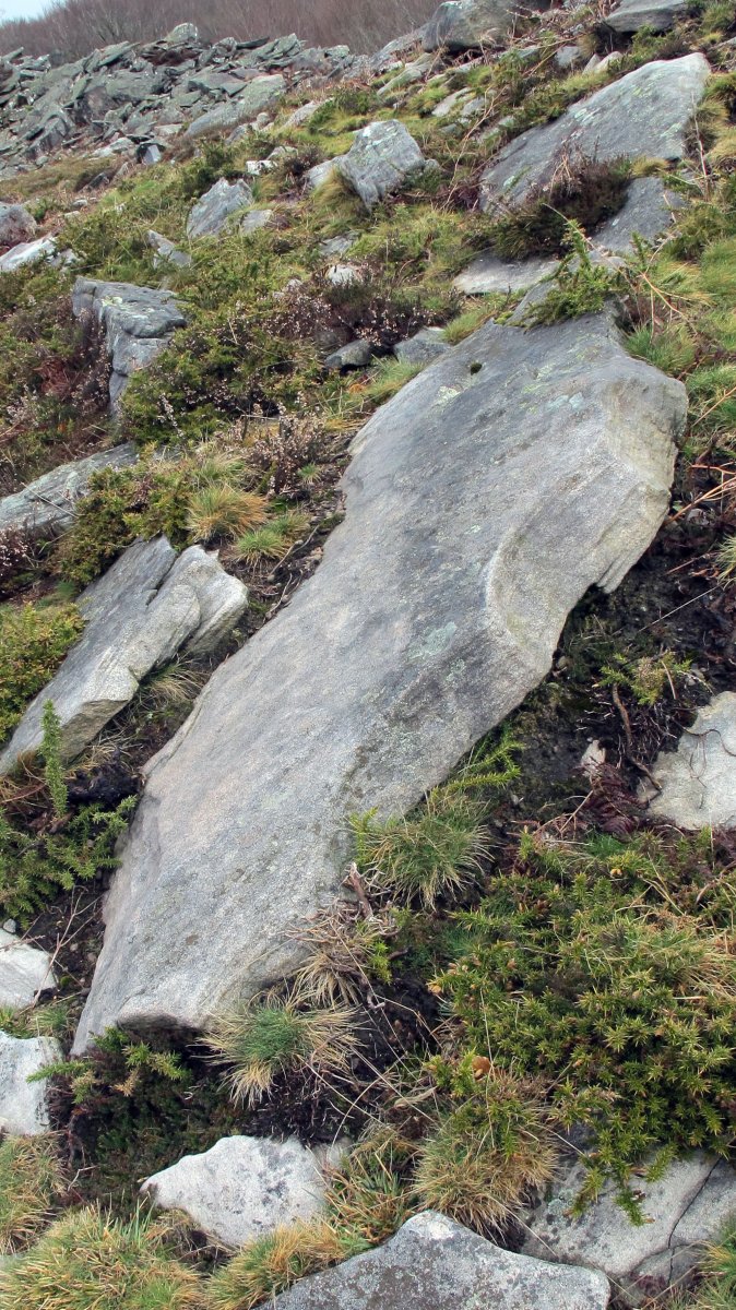 Latargi 2 zutarria, Eratsun