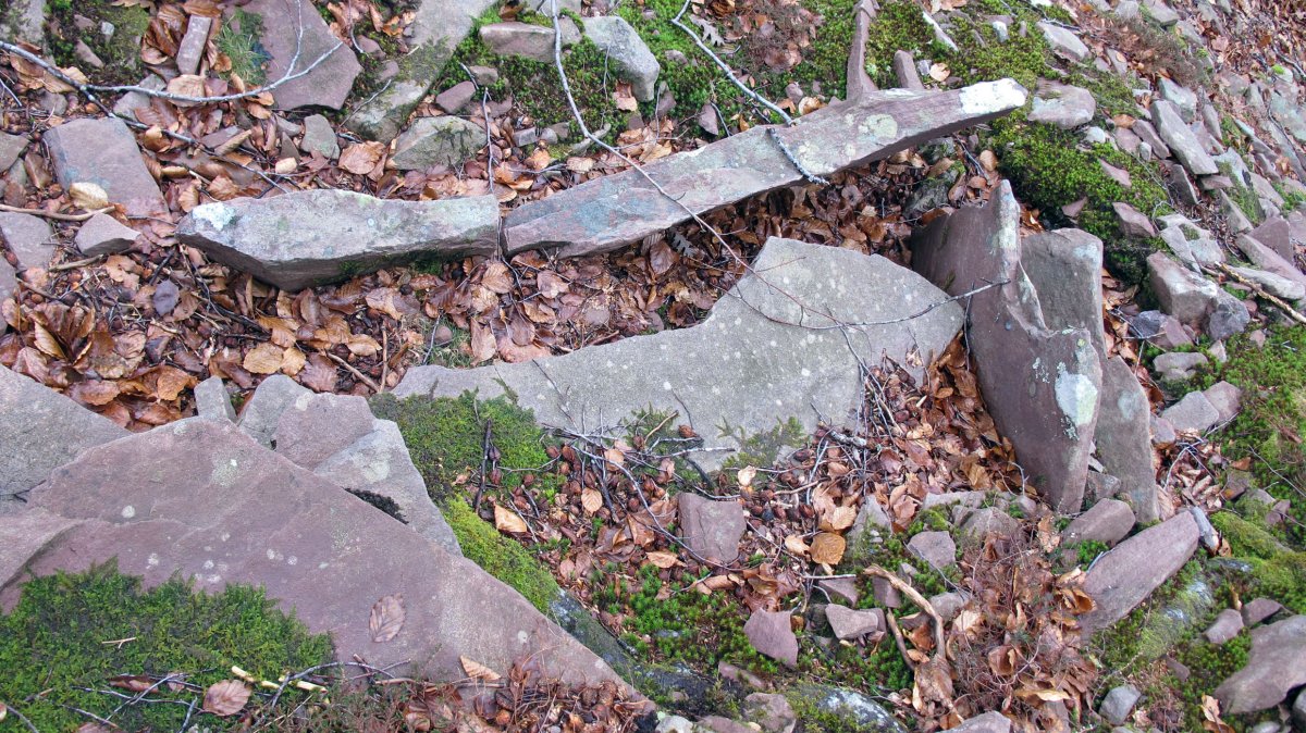 Latargi 13 trikuharria, Eratsun