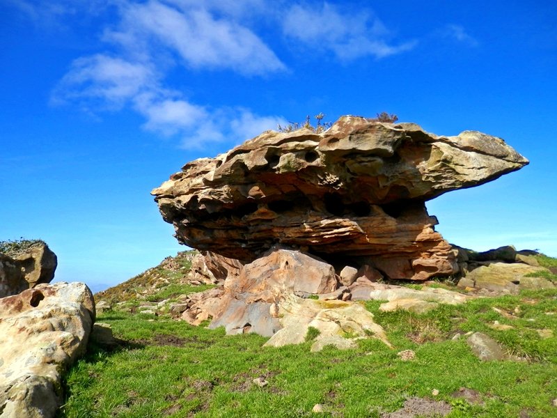 Harri Ikusgarria Tontor Ondoan