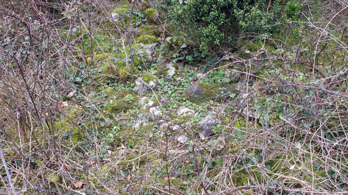 Basaun trikuharria, Donamaria