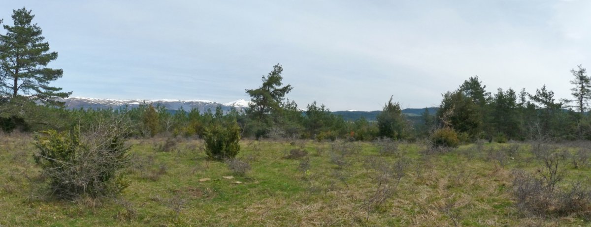 Zalduzkaraiko gailurra