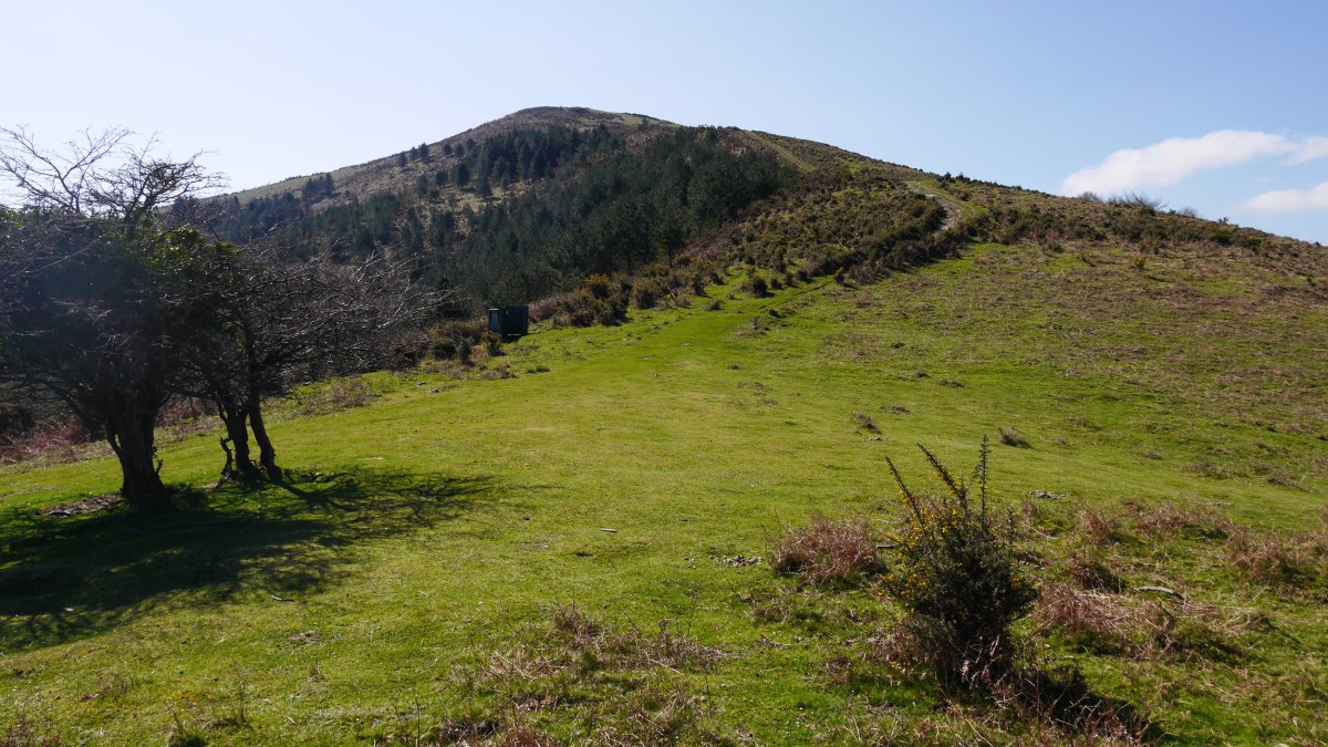 Apaola Iparraldeko bizkarretik