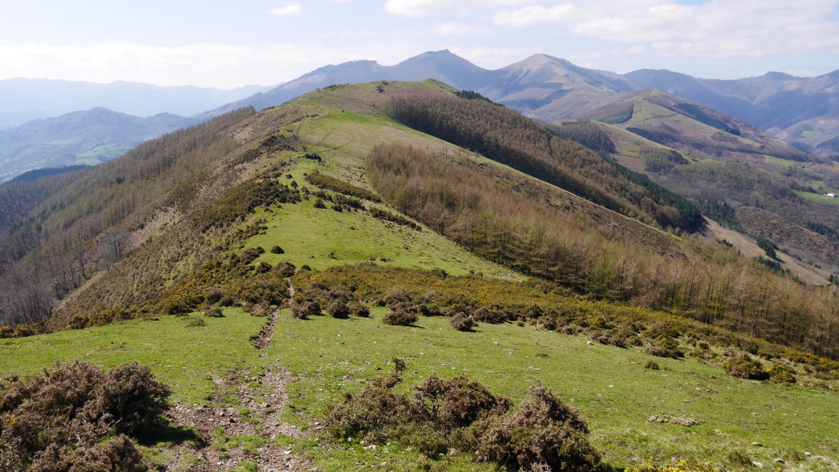 Oianberritik Apaola aldera begira