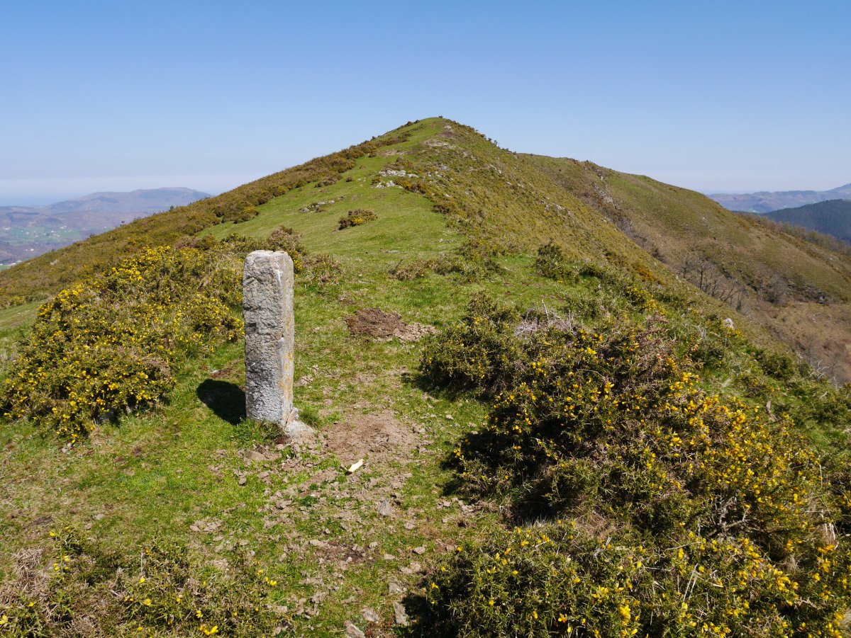 Apaola Hegoaldeko bizkarretik
