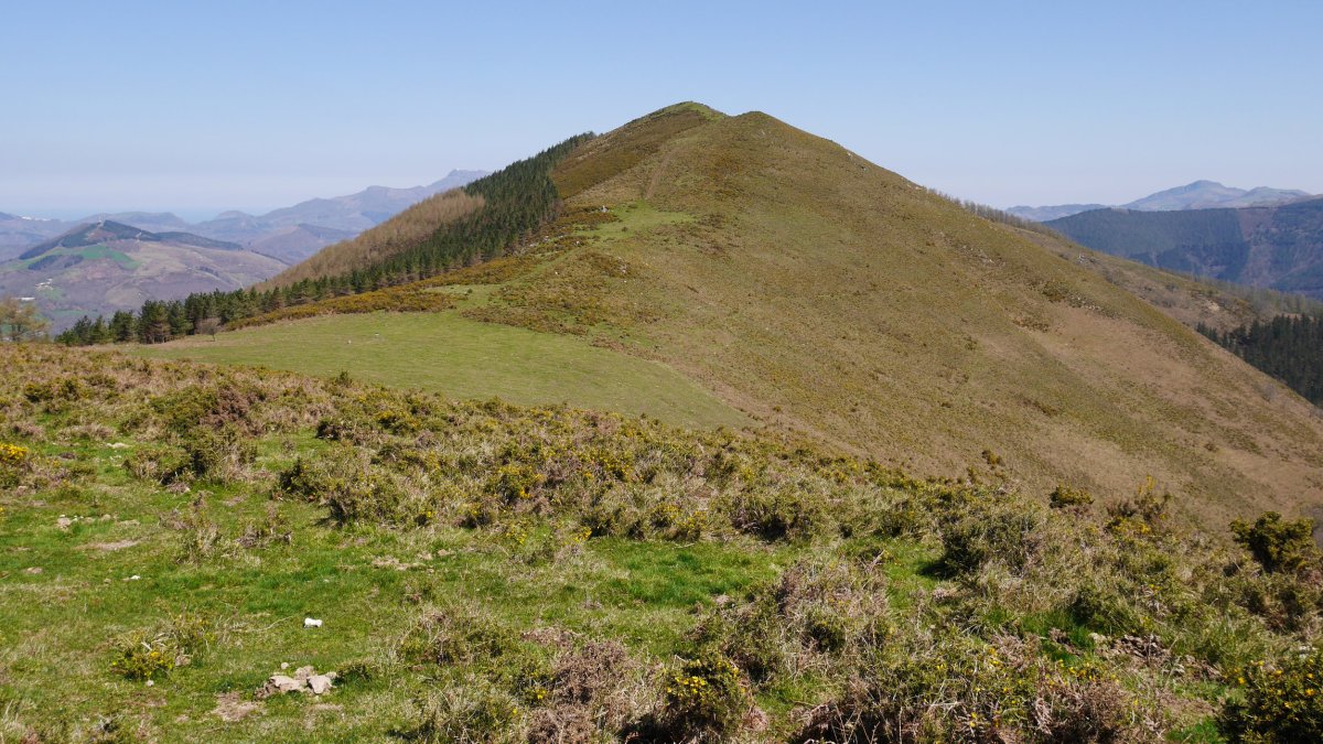 Apaola Artalekuko tumuluaren ingurutik