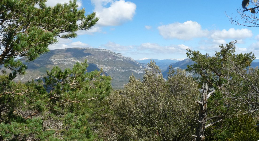 Panorama mugatua Chandriko gailurretik