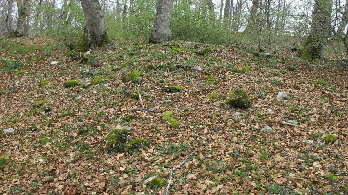 Bagaritxa 2 ekialde tumulua, Goñi