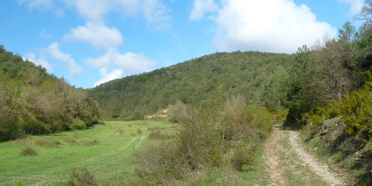 Zunzarrengo pistan gora