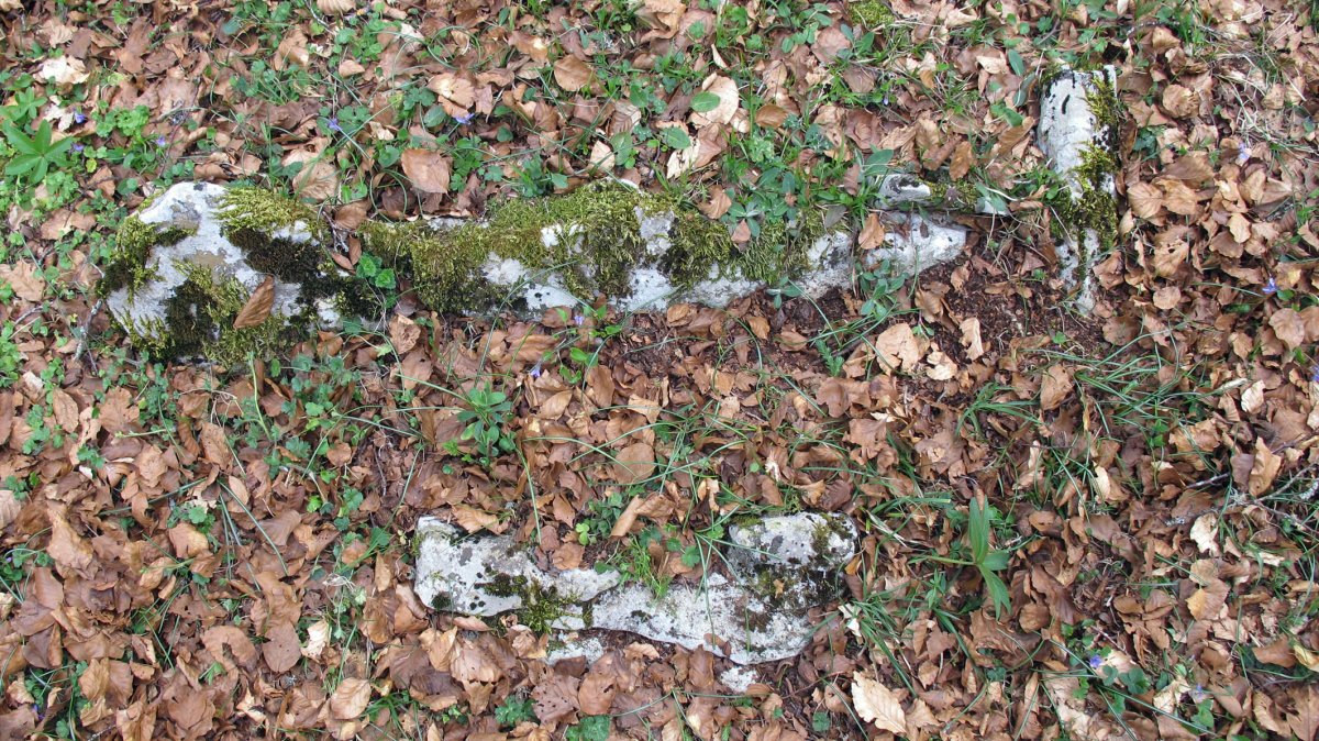 Balsa Elordi tumulua, Goñi