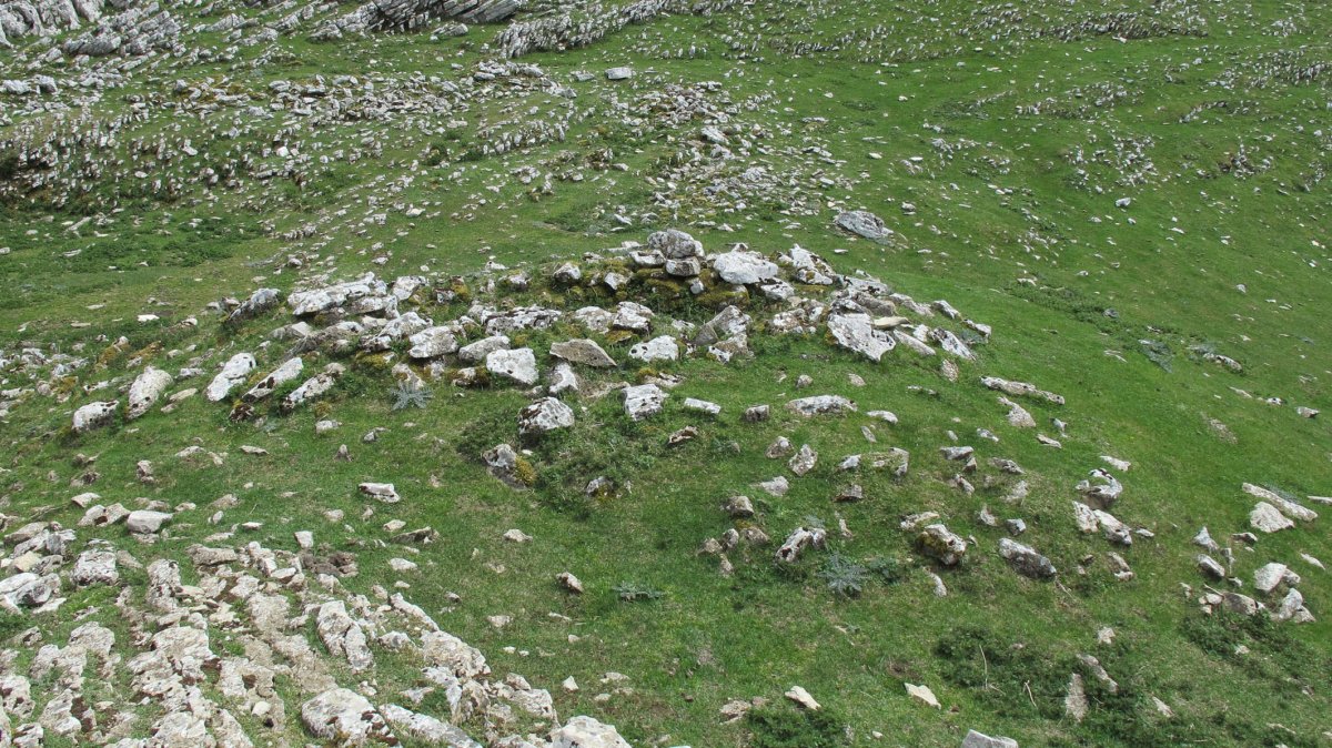 Dukesana 1 mendebal txabola tumularra, Andia