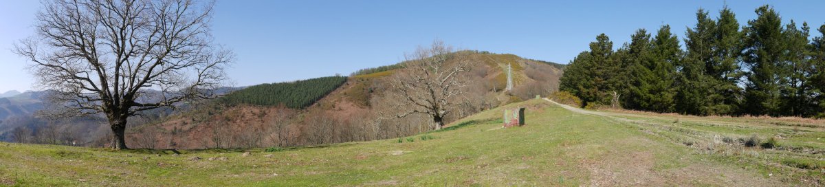 Urdaletako lepoaren inguruak