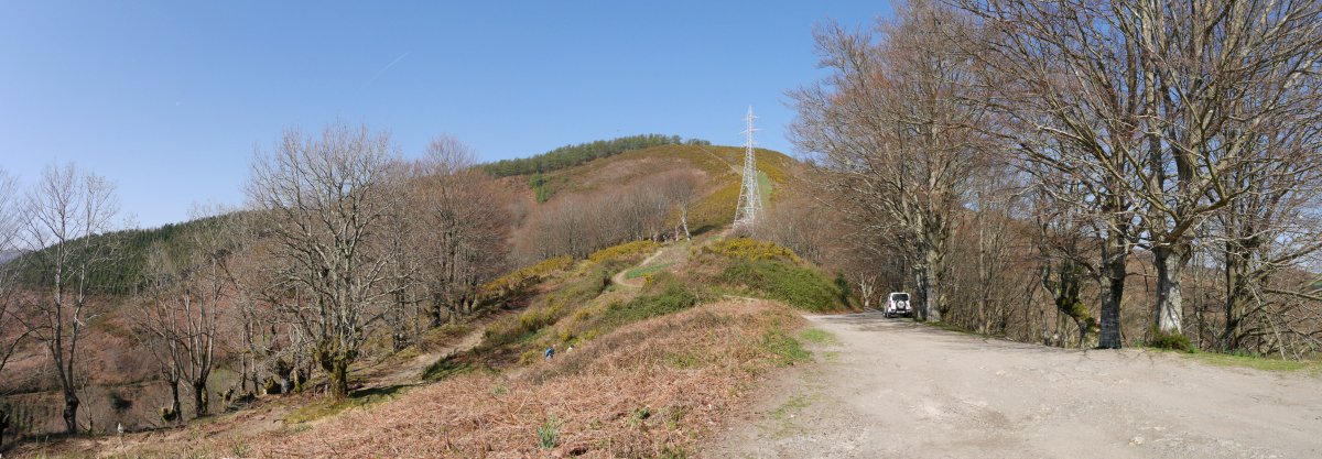 Urdaletako lepoaren inguruak