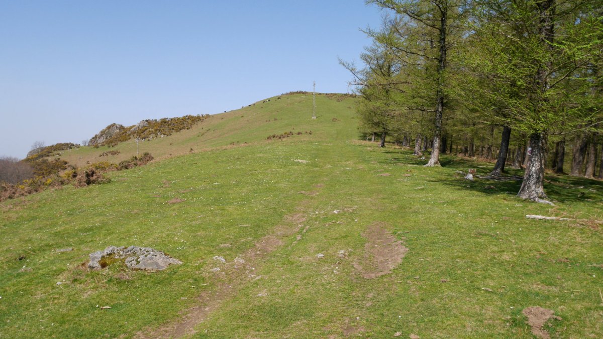 Tontorra HEko bizkarretik