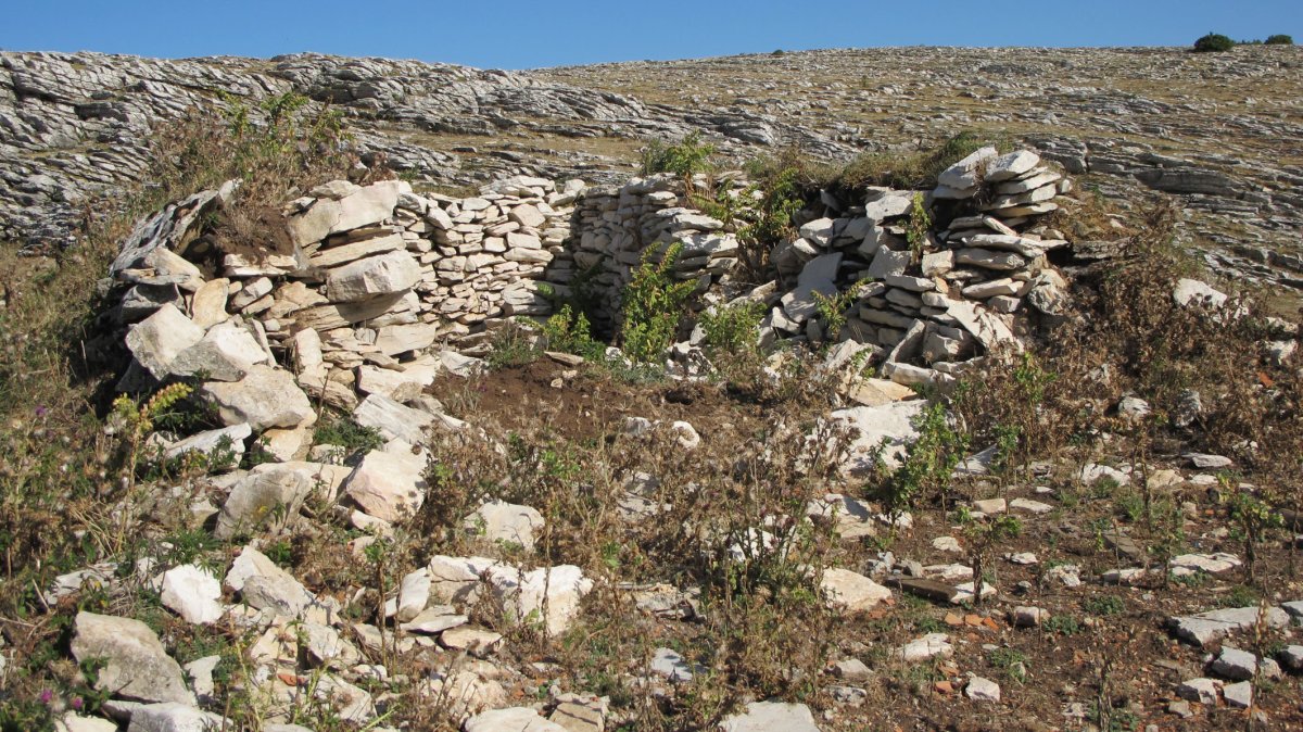 El Brinkulo 3 txabola tumularra (2012/08/09), Andia