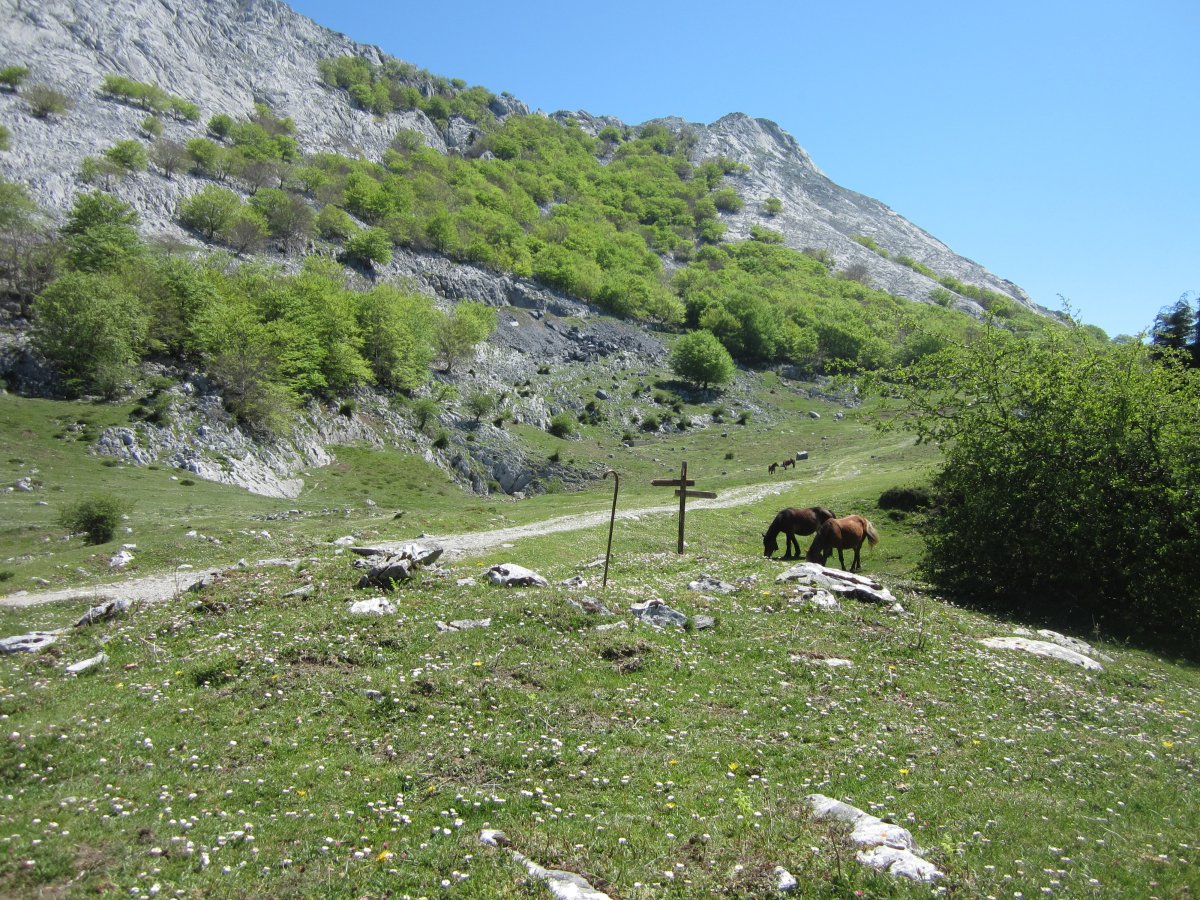 Túmulo Pagazabal 1 Ekialde  (Mayo  2015)