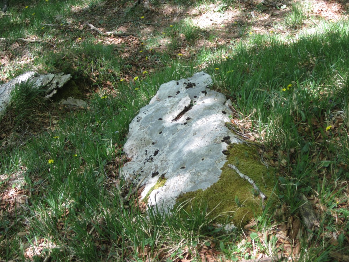 Monolito Aratzkasaroi   (Mayo  2015)