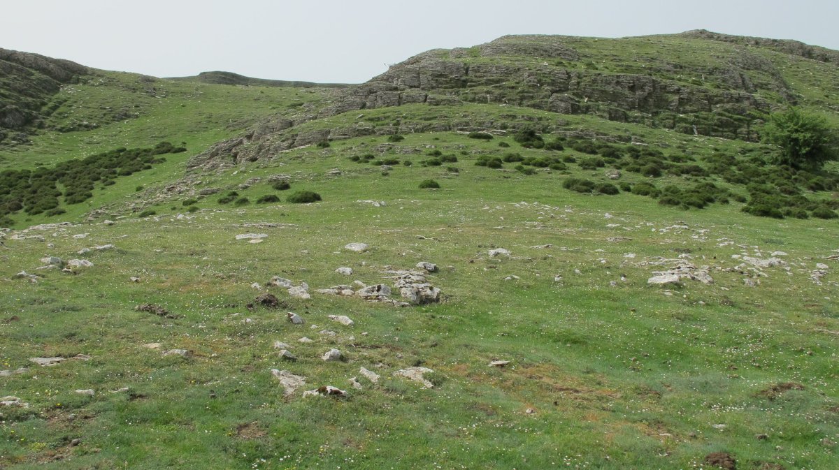 Elortxiki eraztun tumulua, Andia