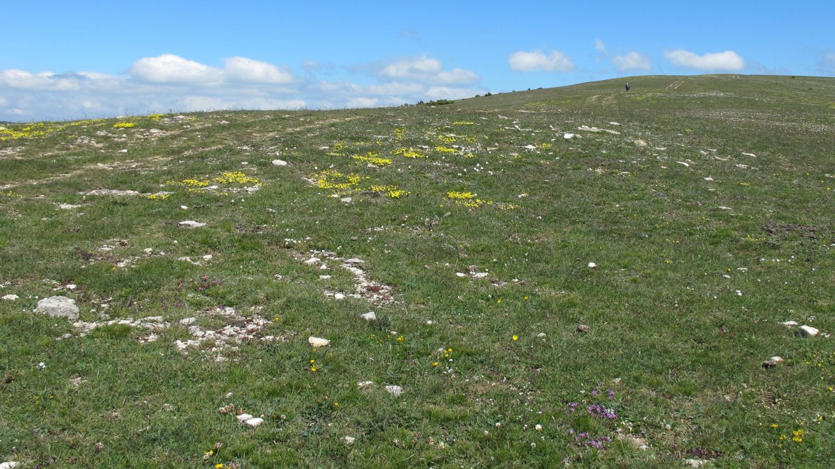 El Illarral 3 hego eraztun-tumulua, Lezaun