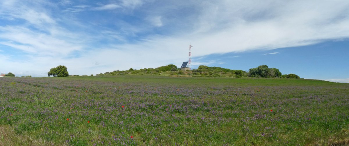 Bigasko gailurra, antena nagusi