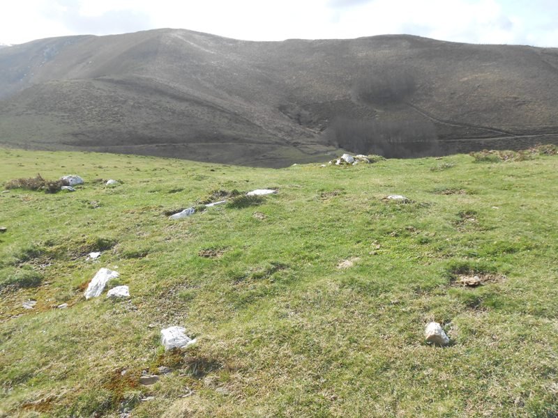 bidagurutzetako kaskoa 2