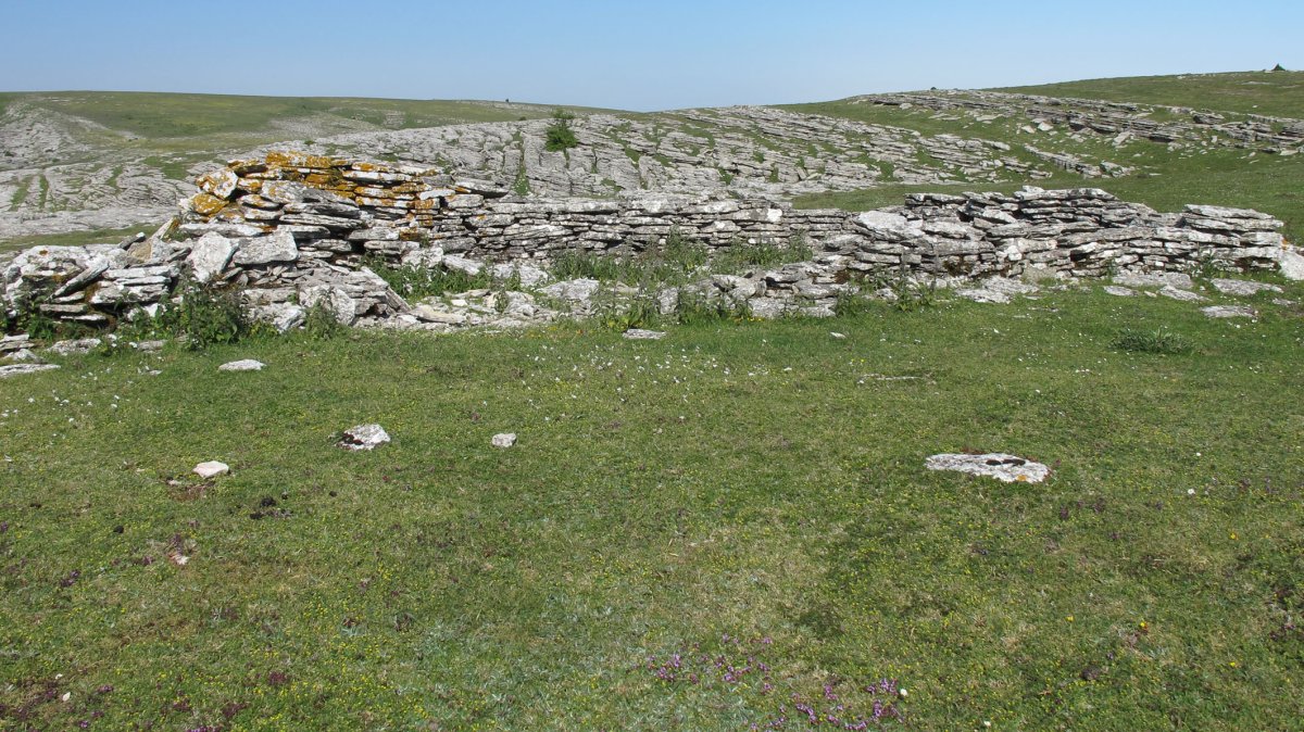 Entresimas etxola hondoa, Andia