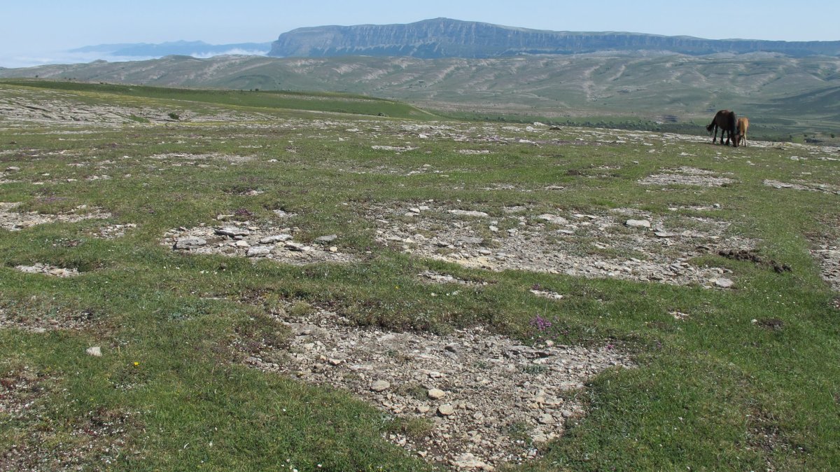 Entresimas eraztun-tumulua, Andia