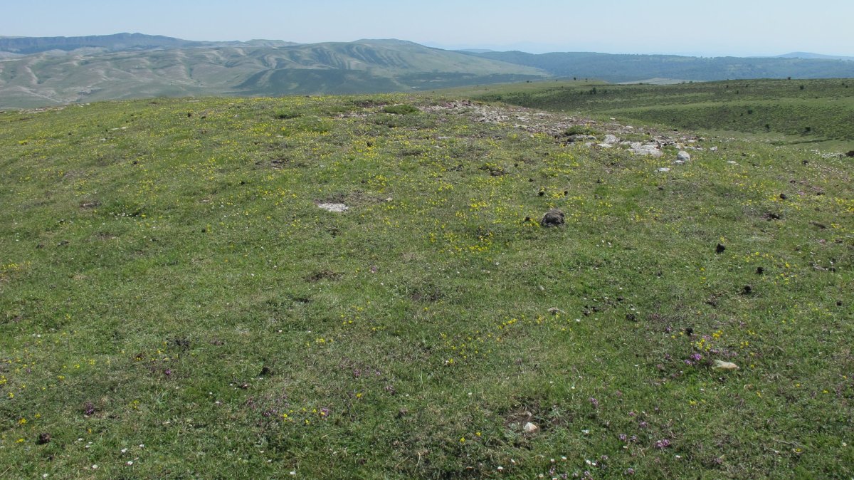 Zaborrateko Aldapa tumulua, Andia