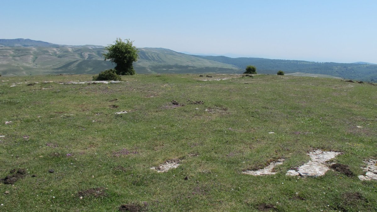 Fuente del Boj eraztun-tumulua, Andia