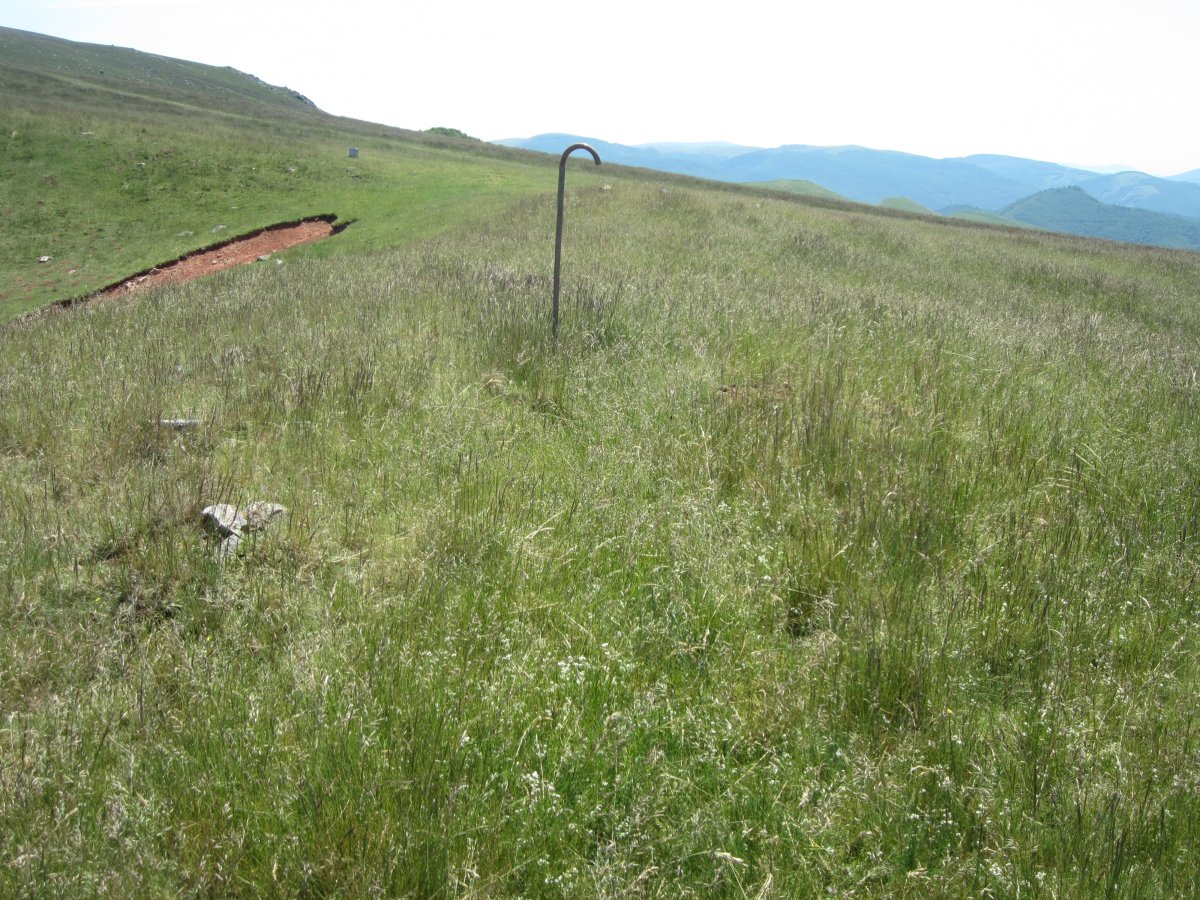 Cromlech Tumular Ilarrita nº 25 (Junio 2015)