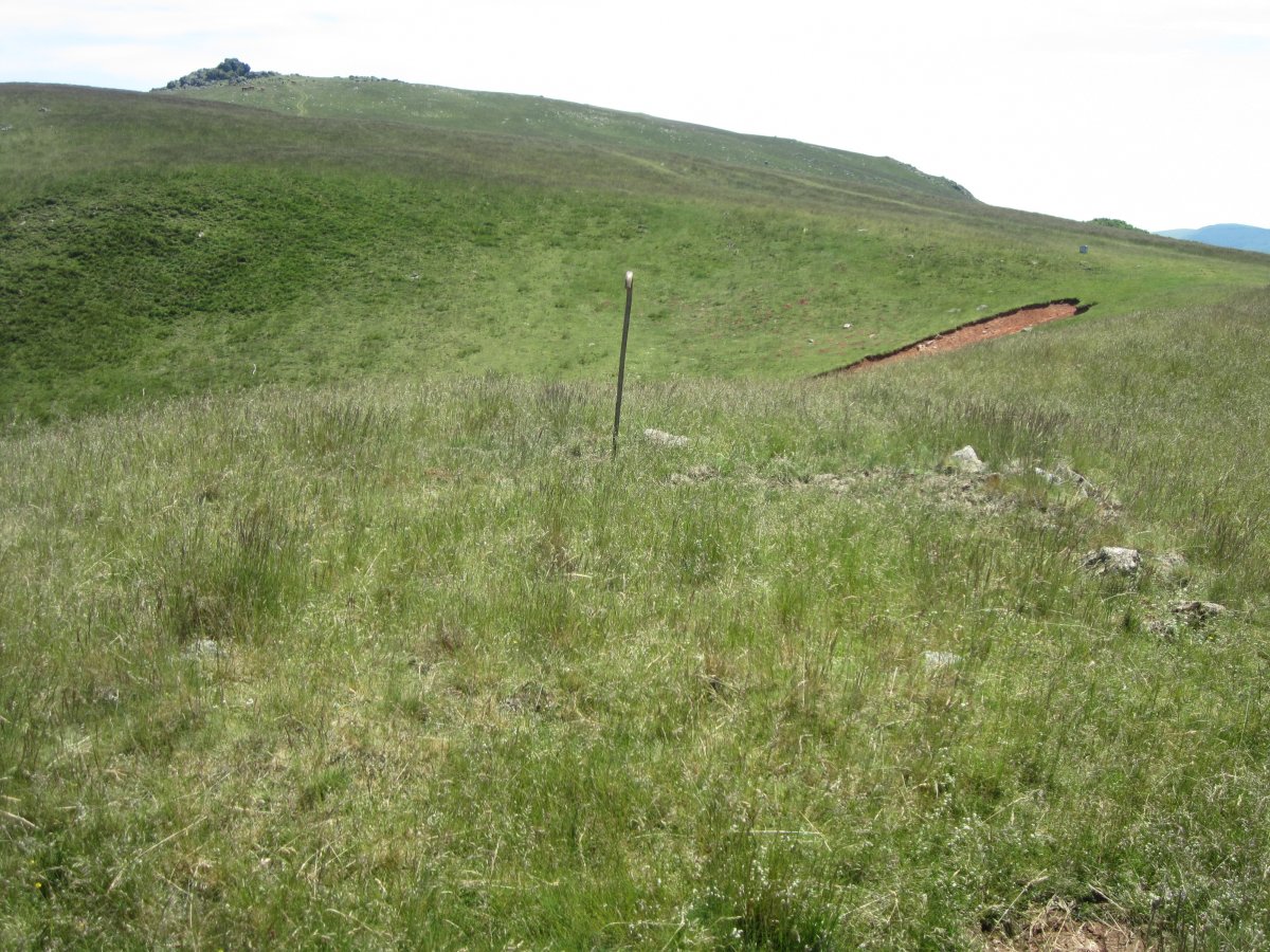 Cromlech Tumular Ilarrita nº 24   (Junio  2015)