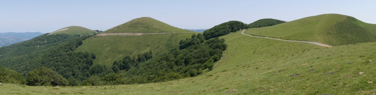 Garmendia, Txaruta eta Eteneko Gaina, Eteneko harrespiletik