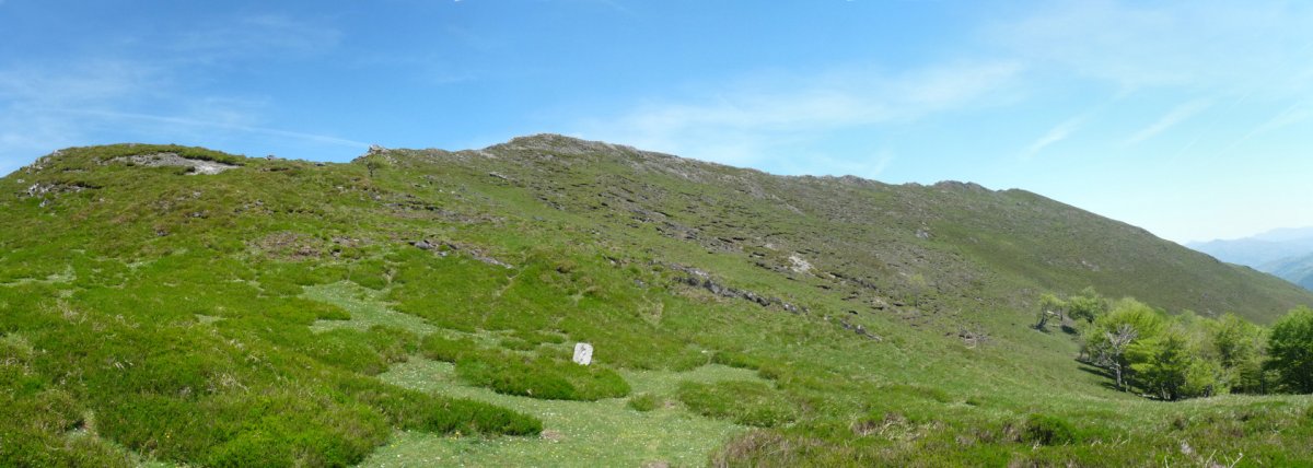 Monaxketa Orraita lepotik